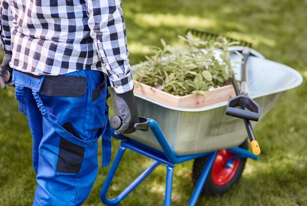5 Budget‑Friendly Lawn Mowing Services in Redland City That Won’t Break the Bank
