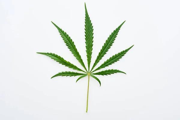 Simple Tips for Choosing the Right Hemp Product Online