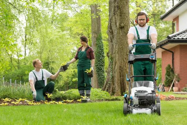 Top Benefits of Hiring Professional Landscaping Services